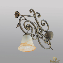 Rustik�lna n�stenn� lampa - romantick� svietidlo prepleten� ru�ou